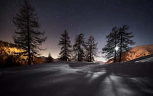 夜晚白雪覆蓋的山脈，星光和月光穿過樹木投下陰影。