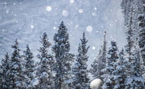雪景美學圖片 — 冬日美學 壁紙