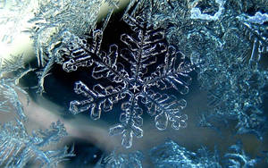 玻璃表面上的詳細冰晶雪花圖案