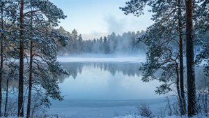 冰凍湖泊被白雪覆蓋的松樹環繞，薄霧從冰面升起。