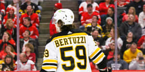 比賽期間，冰球運動員Bertuzzi 59號在冰上，球迷觀看。 — 冰球 壁紙