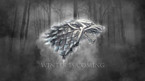 迷霧森林中的冰原狼頭與winter is coming字樣