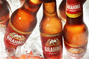 冰凍的 Brahma 啤酒瓶放在冰塊中，帶有冷凝水珠。