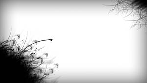 抽象黑白背景，角落有墨水飛濺和草狀筆觸。