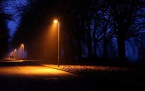 夜晚一條寧靜的霧氣小徑，路燈照亮，兩旁是光禿禿的樹木。 — 光 壁紙