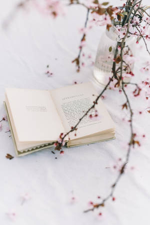 打開的書，帶有櫻花枝條和花瓣，放在白色表面上。 — 型格動態圖 壁紙