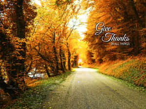 蜿蜒的道路穿過秋日森林，有金色樹葉和「Give Thanks」文字。