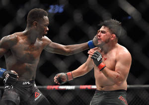 兩名MMA拳手在UFC八角籠內互相出拳，可見血跡。