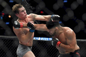 兩名男性MMA拳手在八角籠中於UFC比賽期間互相出拳。