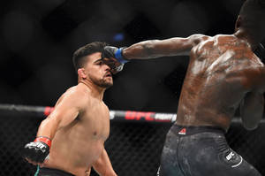 兩名MMA拳手在八角籠中，一人向另一人面部出拳。