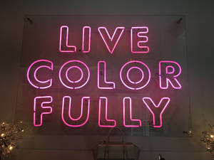 粉紅色霓虹燈牌寫著「Live Color Fully」在玻璃牆上，下方有裝飾燈和手袋。