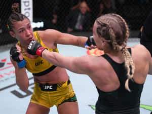 兩名女性MMA拳手在八角籠內的UFC比賽中行動。 — 4:3 壁紙