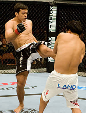 籠中兩名男性MMA拳手，一人踢向另一人