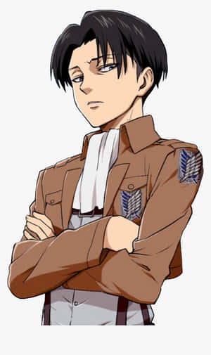 身穿棕色軍服的動漫士兵，雙臂交叉。 — 進擊的巨人 壁紙