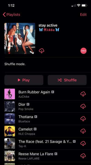 手機音樂應用程式顯示包含歌曲和團體照的播放清單。