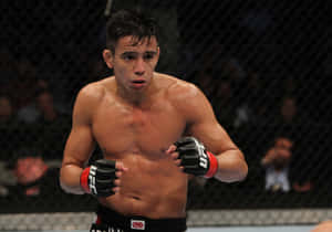 比賽中的八角籠MMA拳擊手 — 冠軍 壁紙
