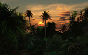 熱帶夕陽，棕櫚樹剪影映襯橙色雲彩。