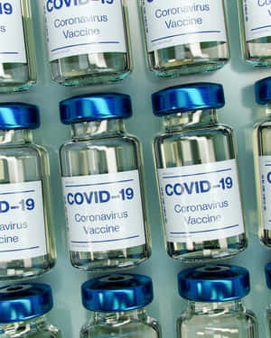 一排排帶藍色瓶蓋和白色標籤的COVID-19疫苗小瓶。