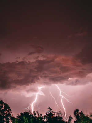 閃電劃過暴風雨般的紫色天空，映襯著黑暗的樹木剪影。