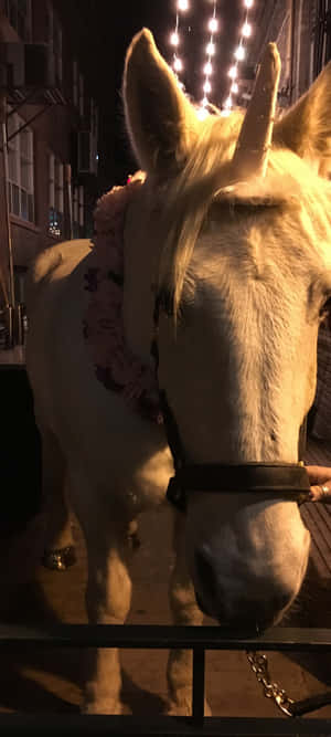 一匹戴著粉紅色花朵的白馬，夜晚站在城市小巷中發光的串燈下。 — Pixel 11 壁紙
