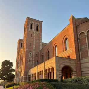 夕陽照亮了歷史悠久的磚造大學建築，拱形步道和開花的灌木叢。