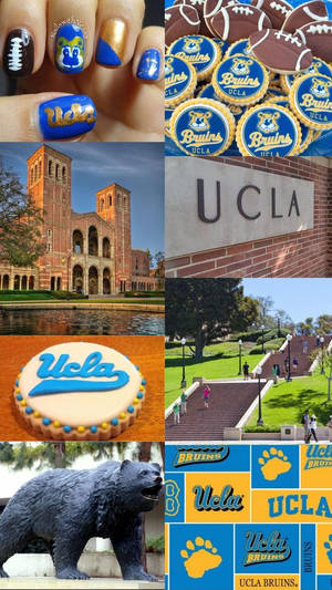 以曲奇、指甲、校園建築和吉祥物雕像為特色的UCLA Bruins主題拼貼畫。 — 美學拼貼 壁紙