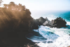 陽光穿過懸崖上的樹木，俯瞰著拍打的海浪和岩石海岸。