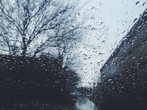 窗戶上的雨滴顯示光禿的樹木和黑暗的小巷。
