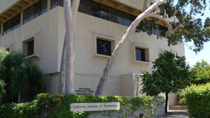 加州理工學院建築，前方有樹木和綠植。 — 學校 壁紙