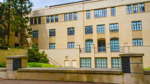 米色圖書館建築，帶有拱形窗戶和石階，周圍環繞著綠樹。