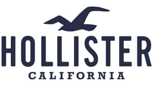 Hollister California 標誌，海鷗在文字上方飛翔