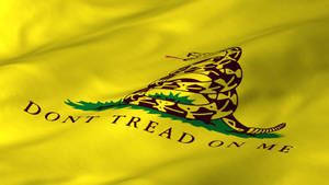 黃色旗幟，帶有盤繞的響尾蛇和「DONT TREAD ON ME」文字。
