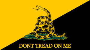 一面黃黑旗幟，帶有盤繞的響尾蛇和「DONT TREAD ON ME」字句。