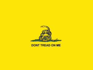 盤繞的響尾蛇，黃色背景上有文字「DONT TREAD ON ME」