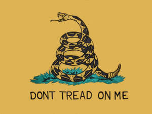 盤繞的響尾蛇，芥末黃背景上寫有文字 'DONT TREAD ON ME'