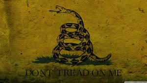 盤繞的響尾蛇張開嘴巴，黃色紋理背景，文字「DONT TREAD ON ME」