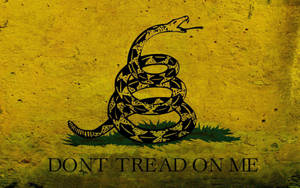 盤繞的黑色響尾蛇露出尖牙，在有紋理的黃色背景上，文字「DONT TREAD ON ME」。