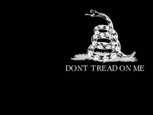 盤繞的響尾蛇，黑色背景上寫有「DONT TREAD ON ME」文字。