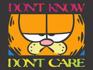 加菲貓卡通臉孔，附有「DON'T KNOW DON'T CARE」文字