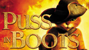 Puss in Boots 貓咪穿著海盜裝備，背景火熱。