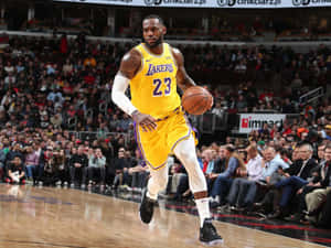勒邦占士在湖人比賽中，在歡呼的人群前運球。 — 波士頓塞爾特人 GIF 壁紙