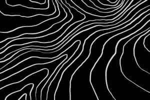 帶有流暢有機曲線的抽象黑白波浪線條圖案。 — 簡約 壁紙
