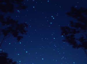 樹木剪影框住了一片星空。 — 夜晚 GIF 壁紙
