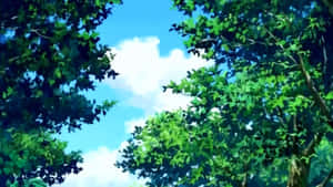 透過茂密的綠樹仰望藍天白雲。