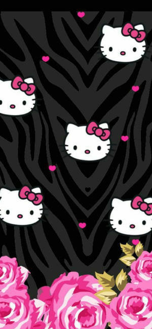 Hello Kitty臉孔和粉紅色玫瑰在黑色斑馬紋背景上。