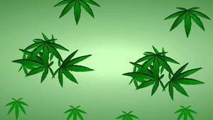在綠色漸變背景上漂浮的大麻葉。