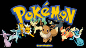 七個寵物小精靈角色喺寵物小精靈標誌下面，有 'Eeveelution' 字樣。 — 可愛寵物小精靈 壁紙
