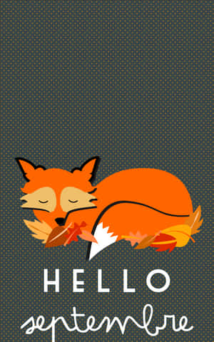 睡著的狐狸，帶有秋葉和hello septembre文字，背景為圓點。 — Galaxy Tab S9 FE 壁紙