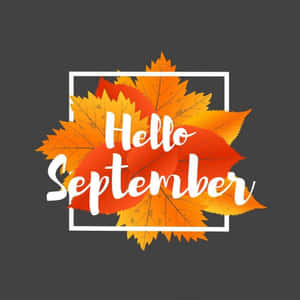 Hello September 文字被色彩繽紛的秋葉包圍在白色邊框中。 — 灰色 GIF 壁紙