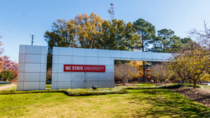 校園入口處的 NC State University 標誌，配有秋樹和綠色草坪。 — 綠色植物 壁紙